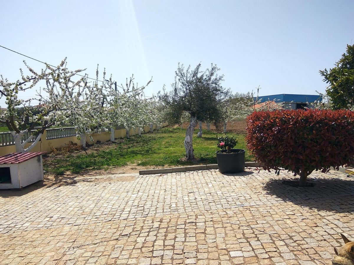 Joaquim Do Norte Podence Exterior photo